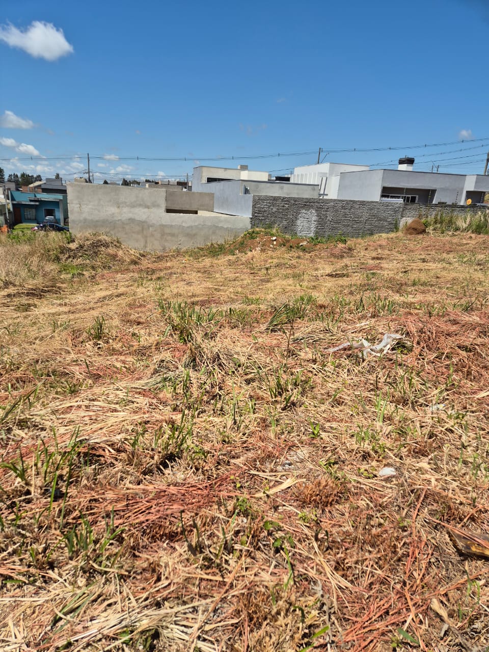 Terreno à Venda - Loteamento João Gelinski — foto 3