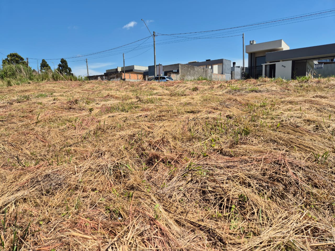 Terreno à Venda - Loteamento João Gelinski — foto 2